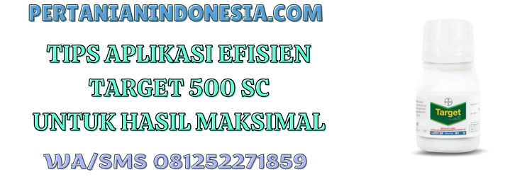 tips,aplikasi,pestisida,pestisida jenis fungisida,pertanian indonesia